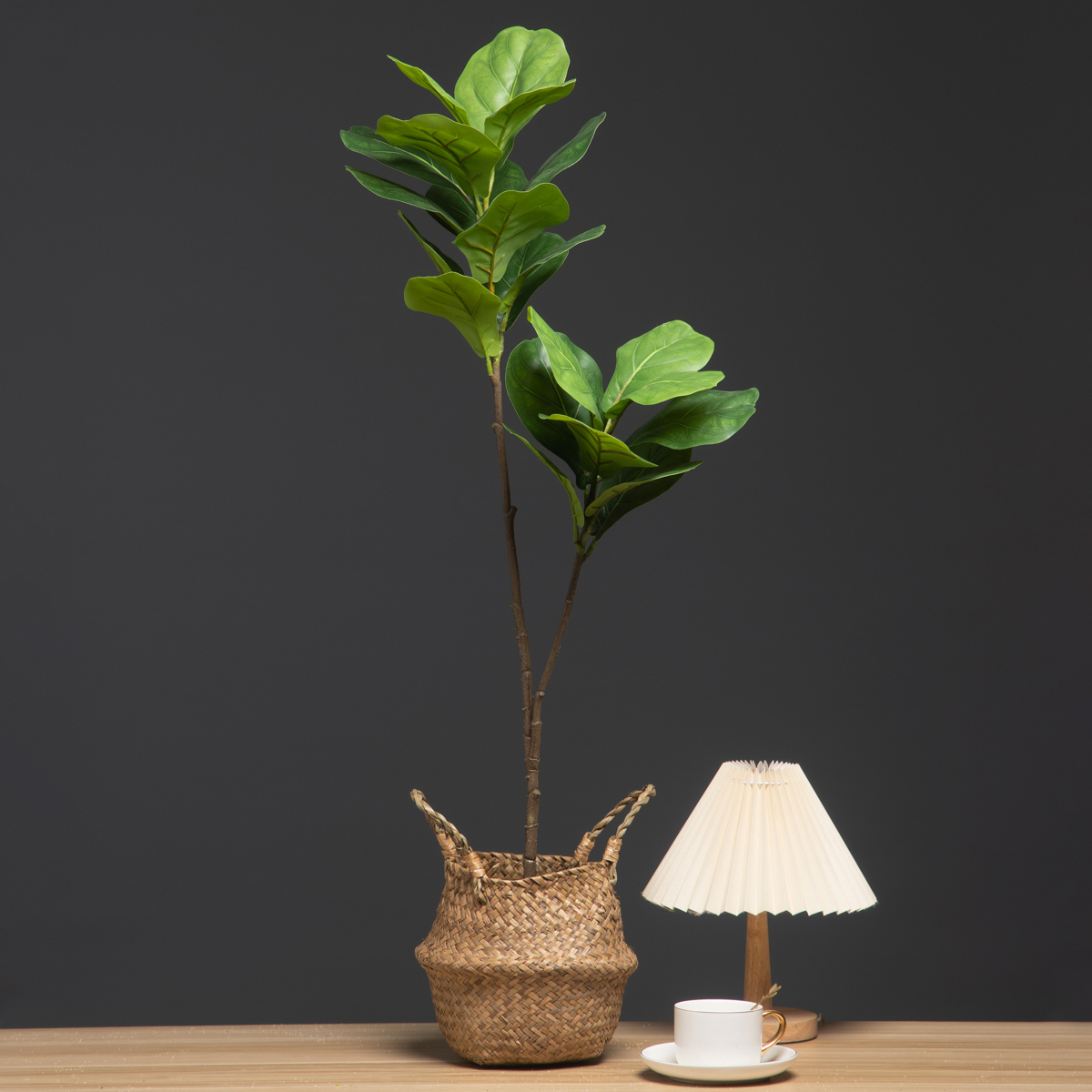 Rubber Plant Ficus - 103 سنتيمتر/132 سنتيمتر فرع شجرة اللبخ