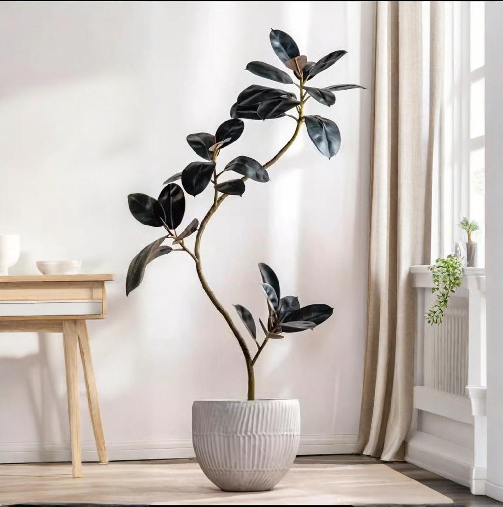 Rubber Plant Ficus - نبات بلاستيكي اصطناعي بوعاء نبات مطاطي