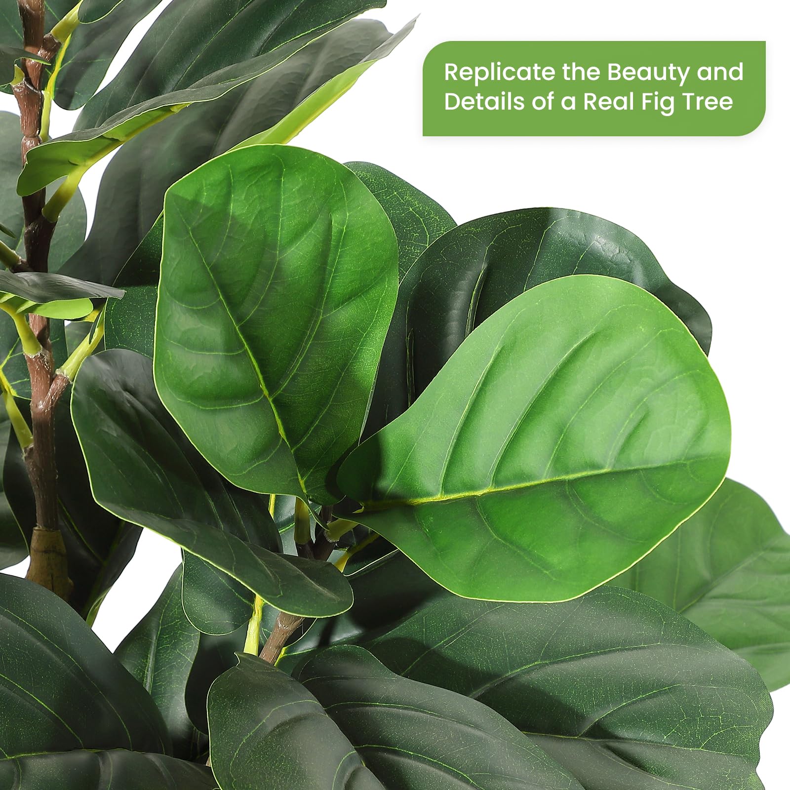 شجرة تين صناعية بارتفاع 5/6/7  - مراجعة Rubber Plant Ficus وسعره