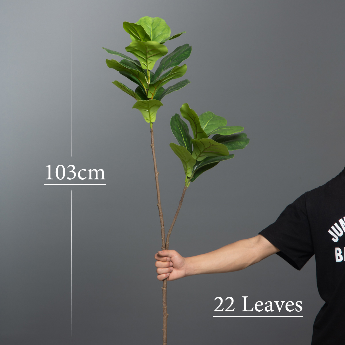 103 سنتيمتر/132 سنتيمتر فرع شج - مراجعة Rubber Plant Ficus وسعره