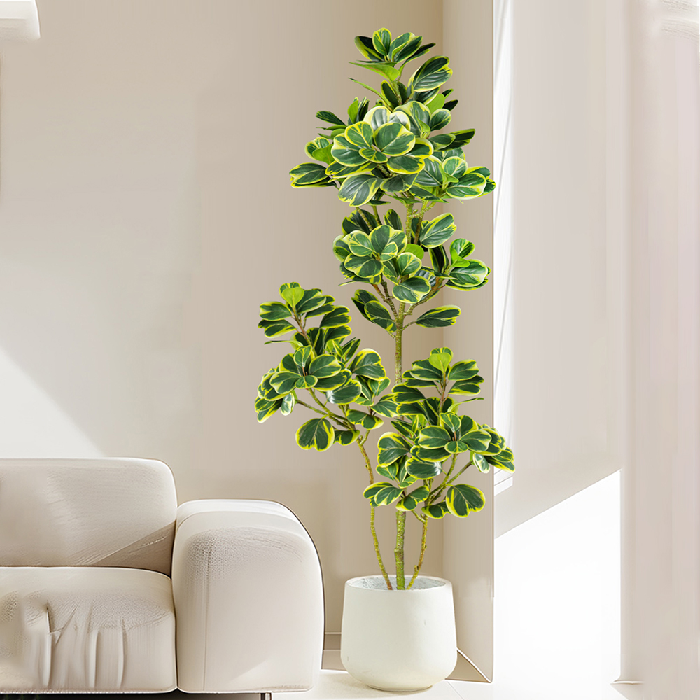 76 سنتيمتر/115 سنتيمتر شجرة ال - مراجعة Rubber Plant Ficus وسعره