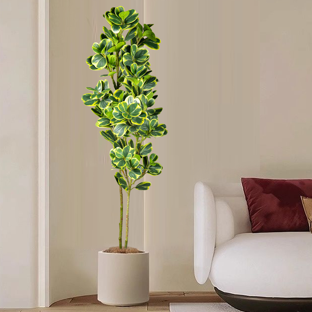 76 سنتيمتر/115 سنتيمتر شجرة ال - مراجعة Rubber Plant Ficus وسعره