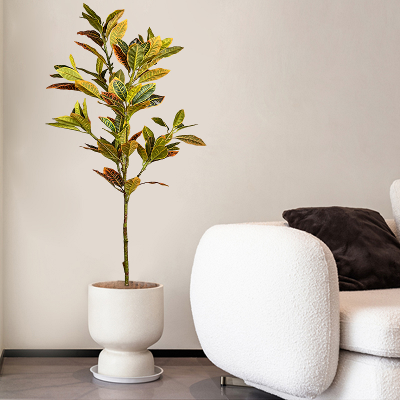 120 سنتيمتر شجرة اللبخ وهمية ك - مراجعة Rubber Plant Ficus وسعره