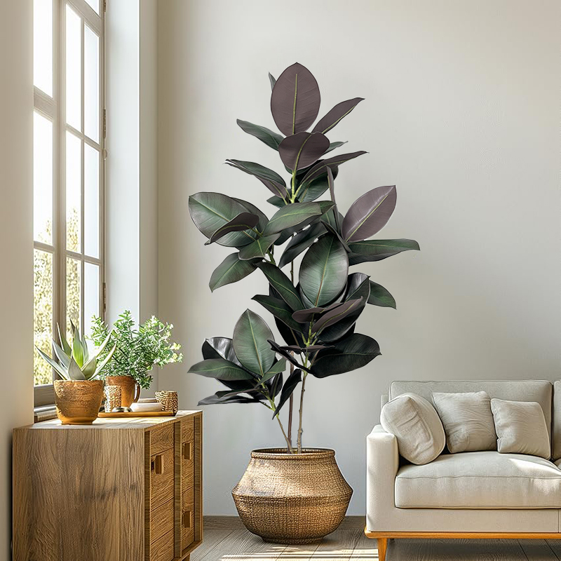 شجرة تين صناعية بطول 70-150 سم - مراجعة Rubber Plant Ficus وسعره