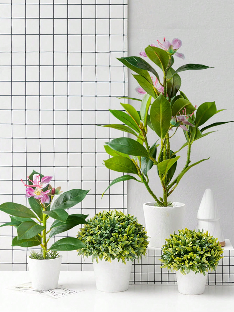 21-40 سنتيمتر نباتات الأزالياس - مراجعة Rubber Plant Ficus وسعره