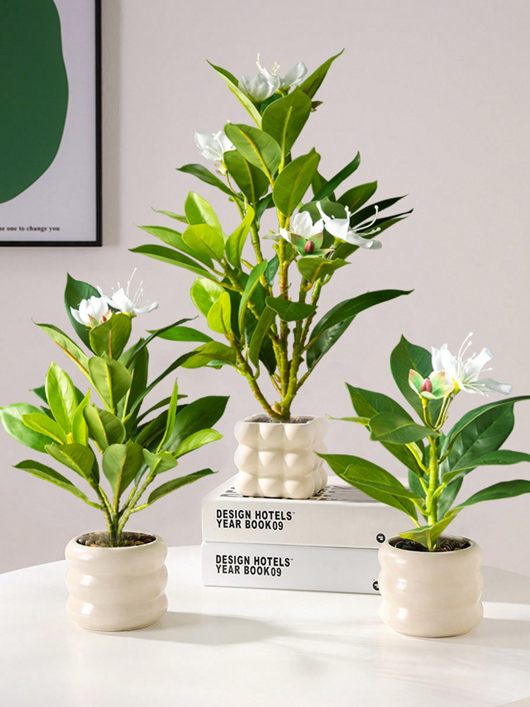 21-40 سنتيمتر نباتات الأزالياس - مراجعة Rubber Plant Ficus وسعره