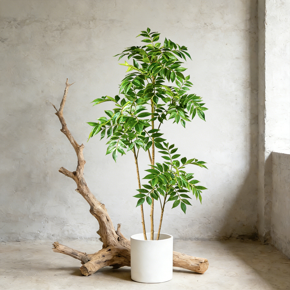 شجرة مطاطية صناعية بطول 76-140 - مراجعة Rubber Plant Ficus وسعره