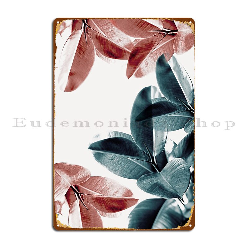 أوراق نباتية مطاطية أوراق خضرا - مراجعة Rubber Plant Ficus وسعره