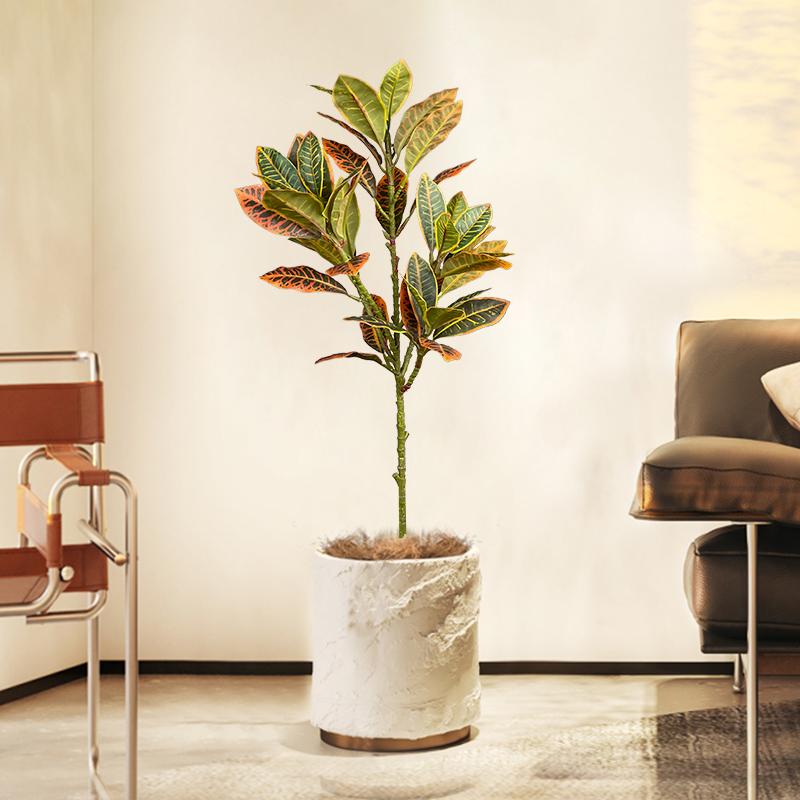 120 سنتيمتر شجرة اللبخ وهمية ك - مراجعة Rubber Plant Ficus وسعره
