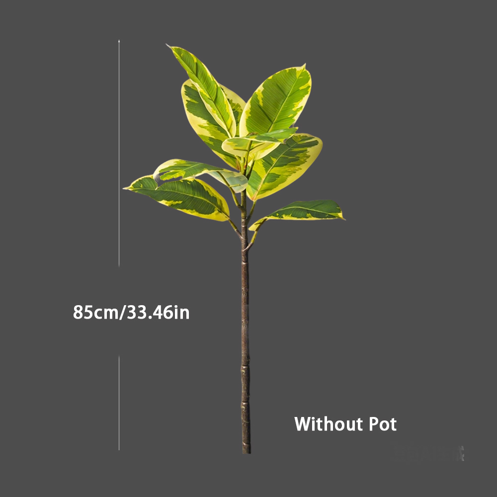 نباتات مطاطية صناعية كبيرة بطو - مراجعة Rubber Plant Ficus وسعره