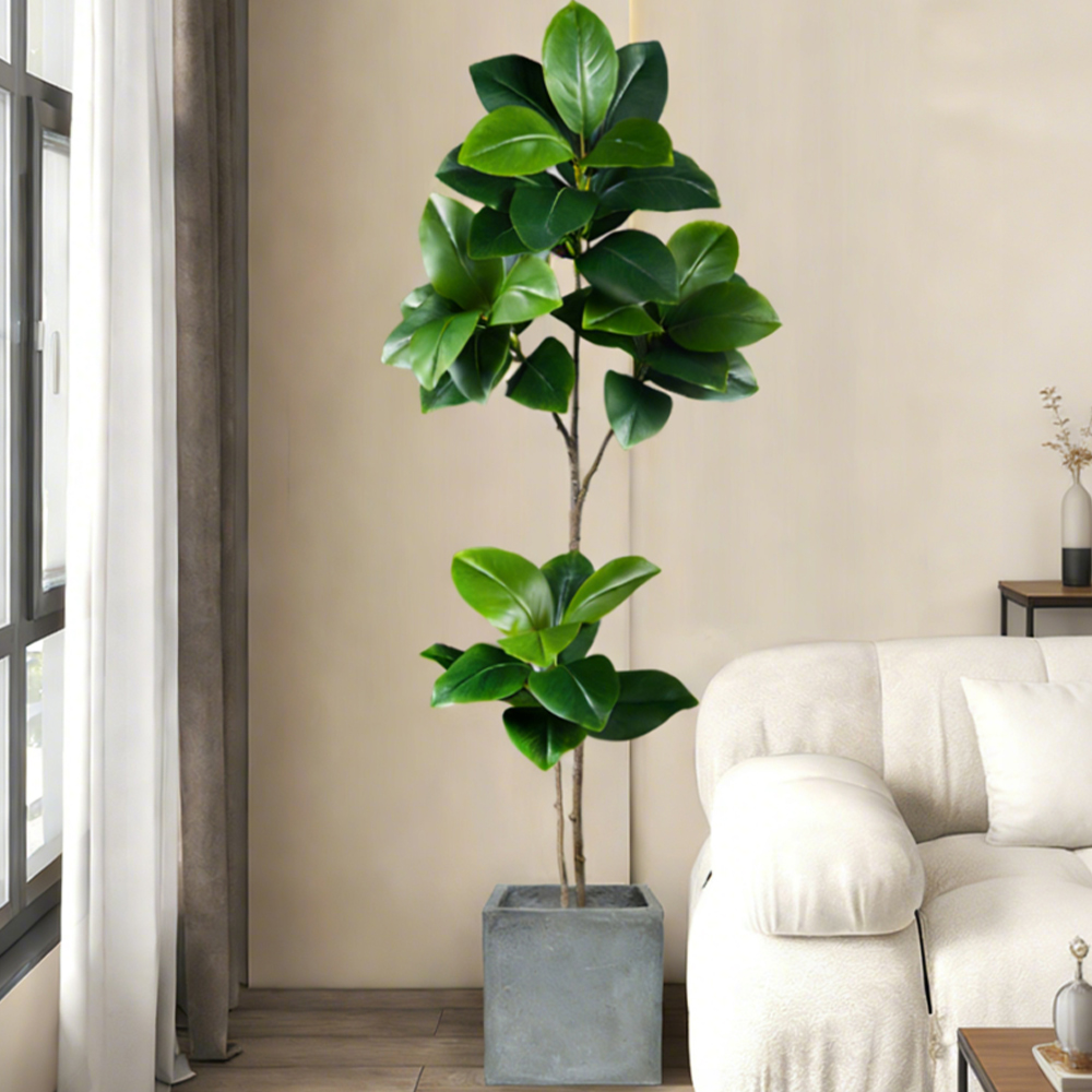 شجرة مطاطية صناعية بطول 74-140 - مراجعة Rubber Plant Ficus وسعره