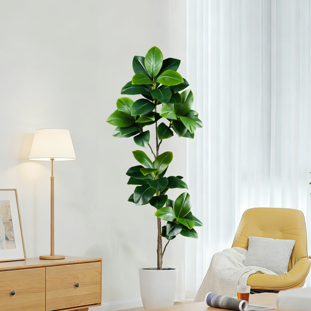 شجرة مطاطية صناعية بطول 74-140 - مراجعة Rubber Plant Ficus وسعره