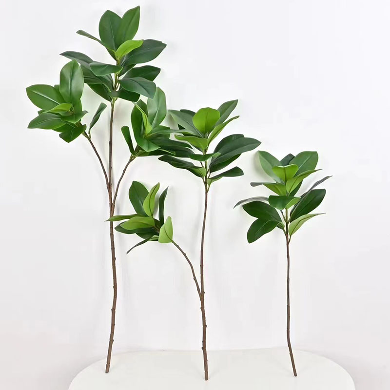 كبيرة وهمية النباتات بانيان ال - مراجعة Rubber Plant Ficus وسعره
