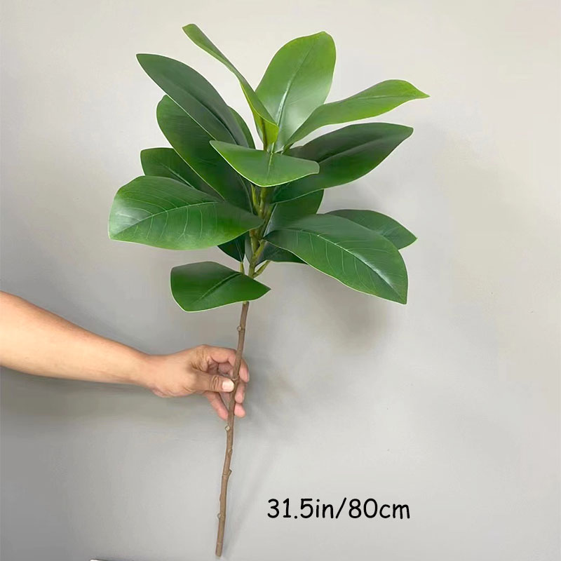 كبيرة وهمية النباتات بانيان ال - مراجعة Rubber Plant Ficus وسعره