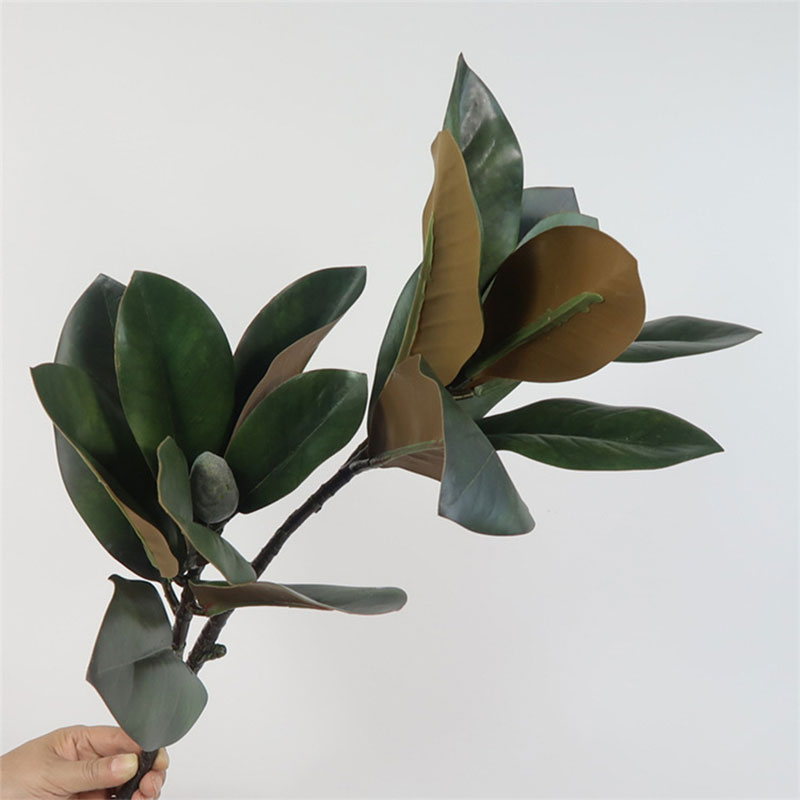 82 سنتيمتر نباتات اصطناعية كبي - مراجعة Rubber Plant Ficus وسعره