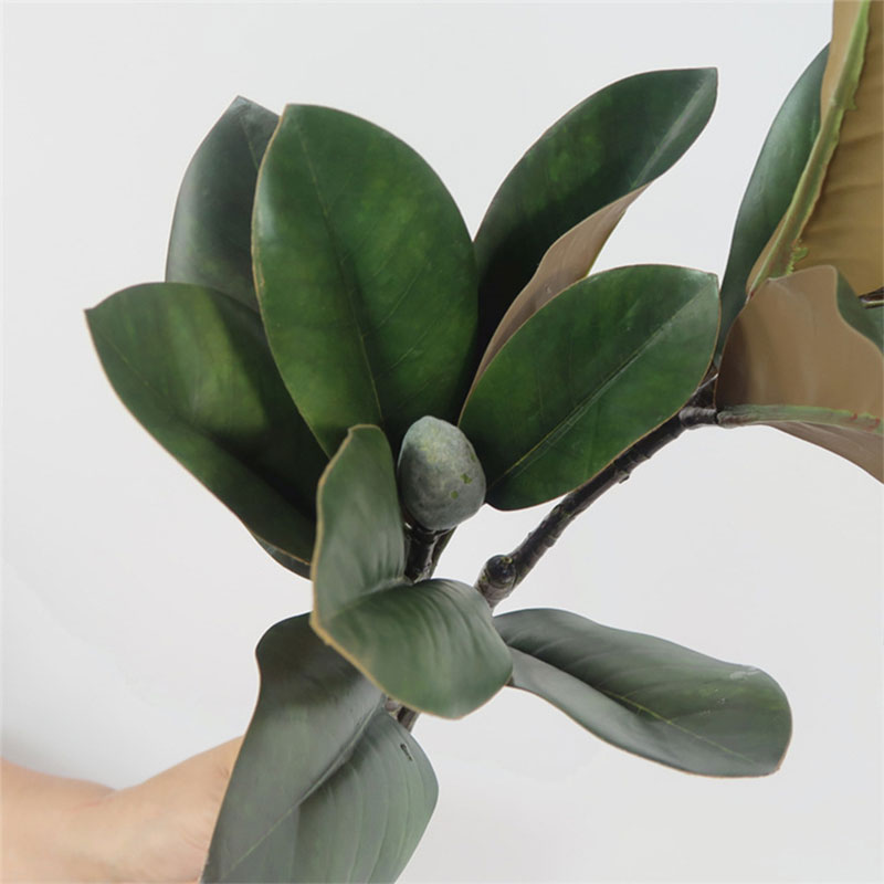 82 سنتيمتر نباتات اصطناعية كبي - مراجعة Rubber Plant Ficus وسعره