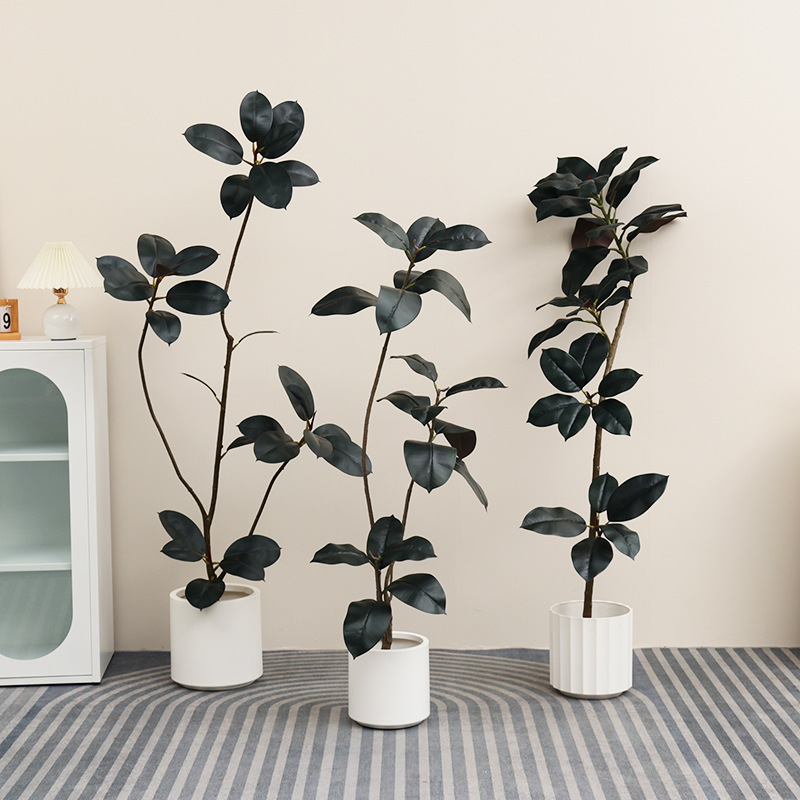 نبات بلاستيكي اصطناعي بوعاء نب - مراجعة Rubber Plant Ficus وسعره