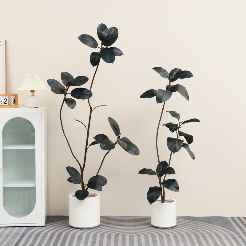 نبات بلاستيكي اصطناعي بوعاء نب - مراجعة Rubber Plant Ficus وسعره