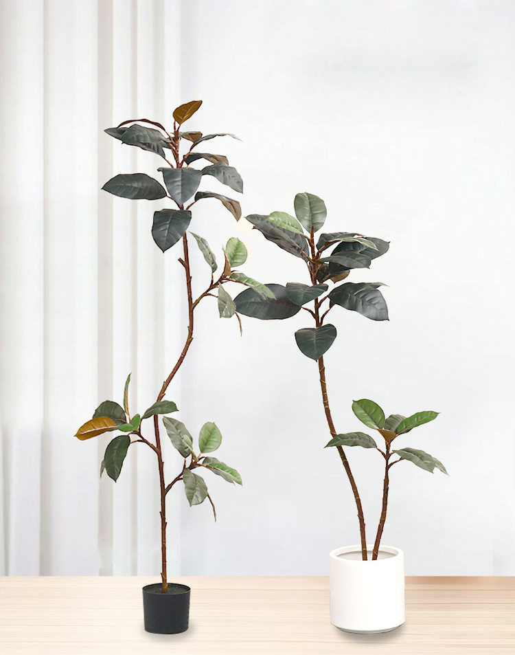 نبات بلاستيكي اصطناعي بوعاء نب - مراجعة Rubber Plant Ficus وسعره