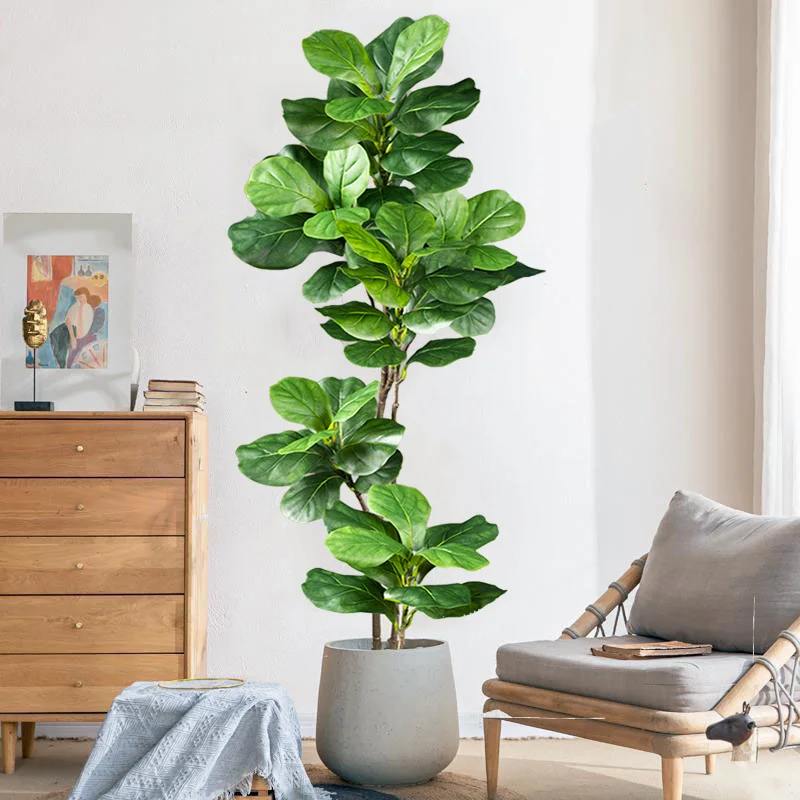 شجرة تين صناعية كبيرة بطول 2-4 - مراجعة Rubber Plant Ficus وسعره
