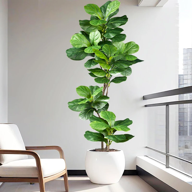 شجرة تين صناعية كبيرة بطول 2-4 - مراجعة Rubber Plant Ficus وسعره