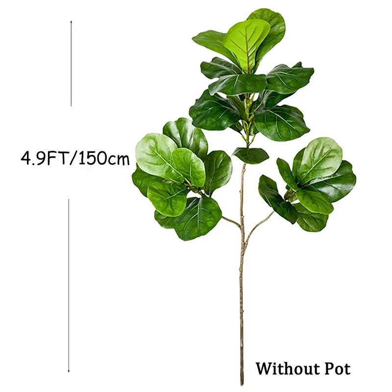 شجرة تين صناعية كبيرة بطول 2-4 - مراجعة Rubber Plant Ficus وسعره