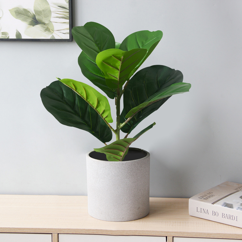 38 سنتيمتر شجرة اللبخ وهمية ال - مراجعة Rubber Plant Ficus وسعره