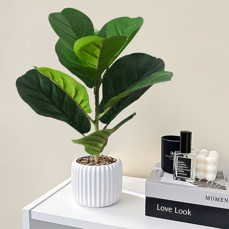 38 سنتيمتر شجرة اللبخ وهمية ال - مراجعة Rubber Plant Ficus وسعره