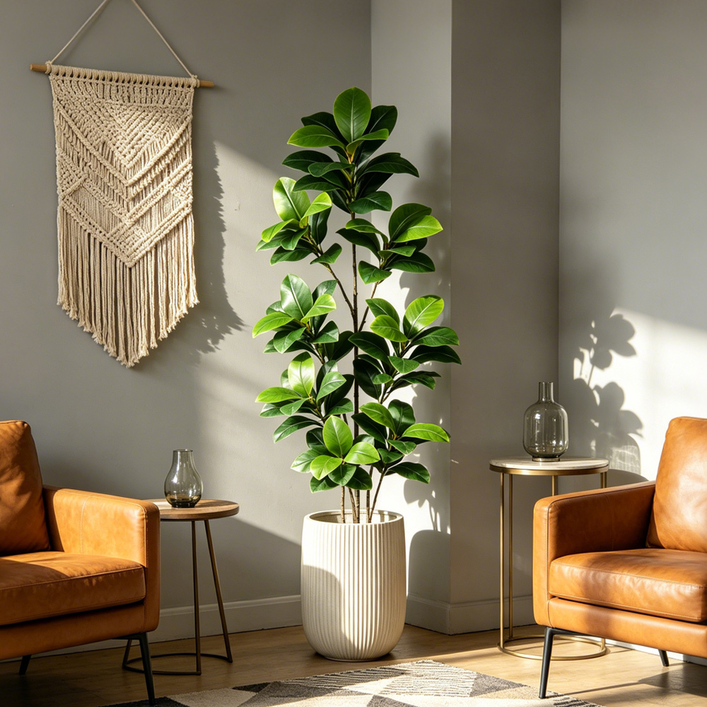 شجرة بانيان صناعية كبيرة بطول  - مراجعة Rubber Plant Ficus وسعره