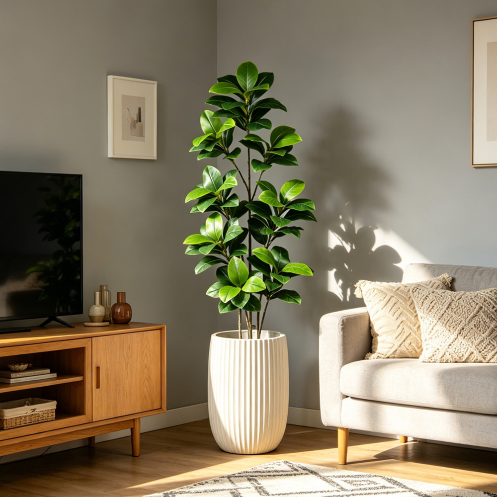 شجرة بانيان صناعية كبيرة بطول  - مراجعة Rubber Plant Ficus وسعره
